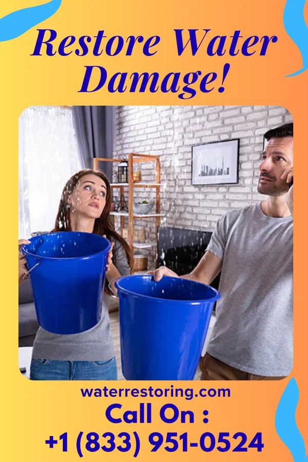 water restoration Sterling Water Removal & Associates New Castle