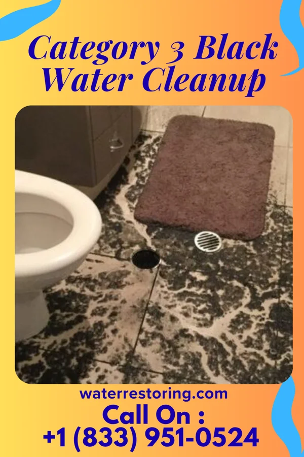 Category 3 Black Water Cleanup in New Castle, CO