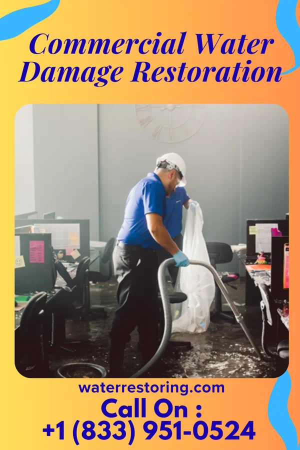 Commercial Water Damage Restoration in New Castle, CO
