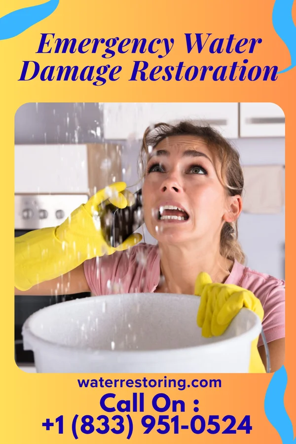 Emergency Water Damage Restoration in New Castle, CO