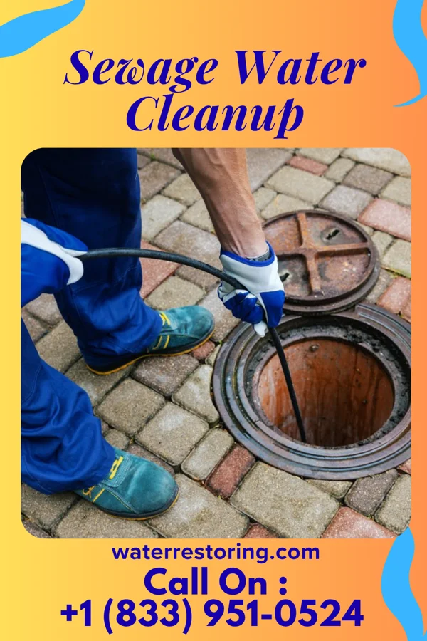 Sewage Water Cleanup in New Castle, CO